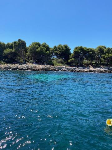 Appartement Luxueux 150M2 - Cannes Eksteriør billede