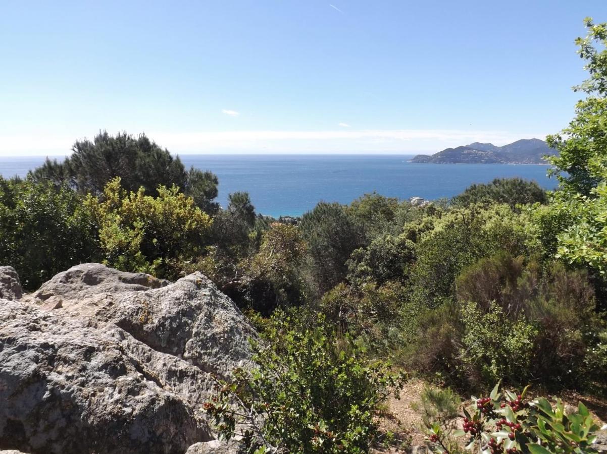 Appartement Luxueux 150M2 - Cannes Eksteriør billede